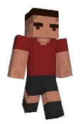 Wartony