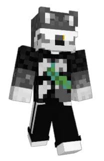 Front of DicedBooks's skin
