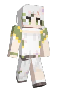Front of Mirosaku49's skin