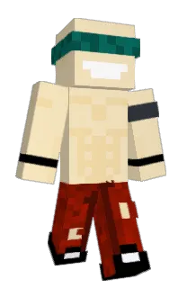 Front of Nom1k's skin