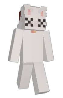 Front of kqce's skin