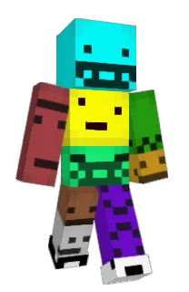 Front of Diploop's skin
