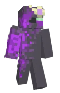 Front of ermall's skin