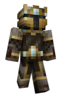 Front of Zaroon's skin