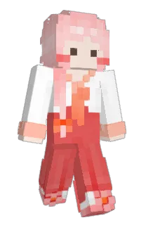 Front of 2x2's skin