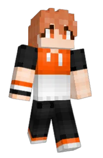 Lenarn's Minecraft skin