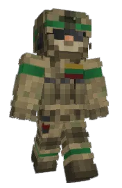 Skin preview