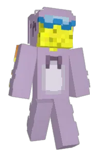Front of Spongs's skin