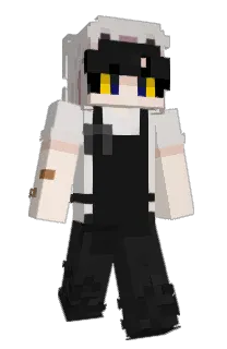 Front of KidKit11's skin