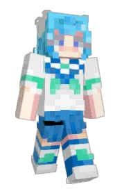 Skin preview