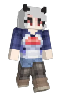 Front of Minecraft skin