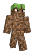 MrZayBlockz