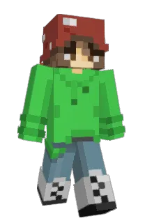 Front of Lizuchan's skin