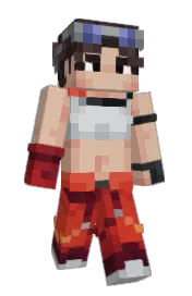 Skin preview