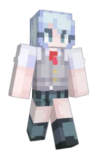 Front of signetics's skin