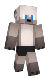Front of protogenfurry's skin