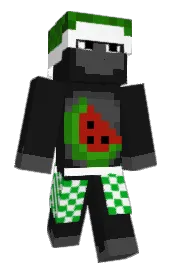 Skin preview