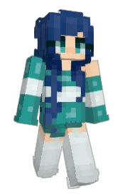 Skin preview