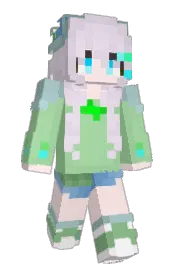 Skin preview