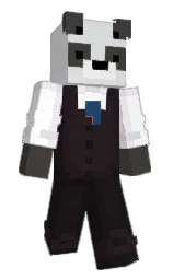 Minecraft skin — Classic model