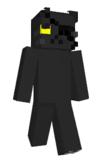 Front of BlNI's skin