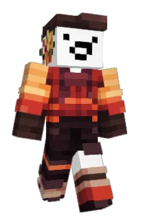 Front of saparata's skin