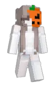 ReinforcedDeepsl