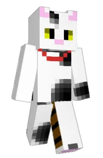 skf9106's Minecraft skin