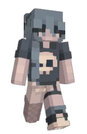 Skin preview
