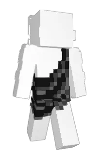 Front of 200O1's skin