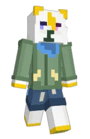 Skin preview