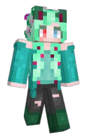 Skin preview