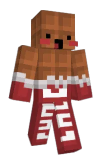 Front of Minecraft skin