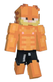 Front of Swingpf's skin