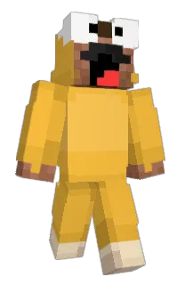 Front of elijey's skin