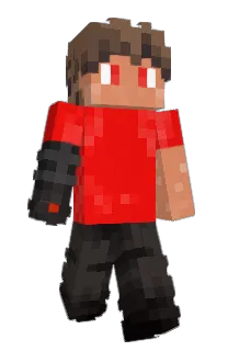 Front of TigerNinja425's skin