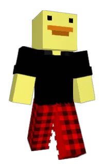 Front of Minecraft skin