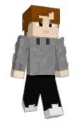 seesnik