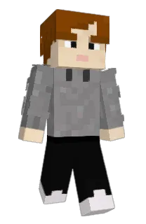 sesnik's Minecraft skin