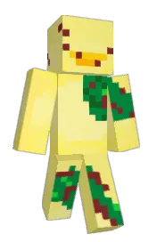 Skin preview