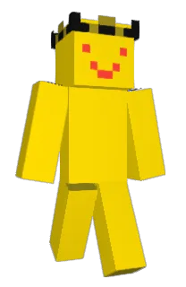 Front of ICH_1's skin