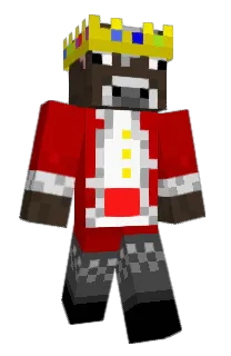 Front of Friesian_'s skin