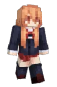 netshiny