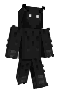 Front of FlowerCactus's skin