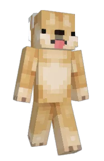 Front of Alfiestuff's skin