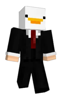 Front of 229b's skin