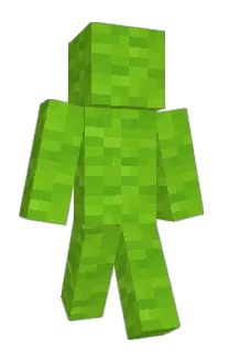 Front of Kisuyo's skin