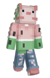 Skin preview