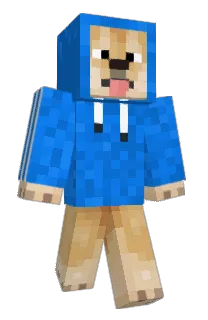 Front of Dr5ko's skin