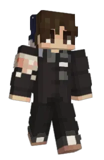 Front of NichePins's skin